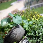 Gasthof Les Sansonnets 3*