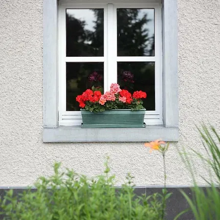 Les Sansonnets Guest house *
