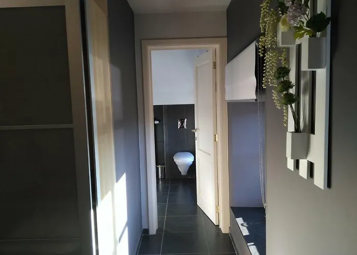 Affittacamere Les Sansonnets Vaux-sur-Sure