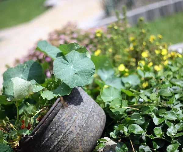 Gasthuis Les Sansonnets 3*